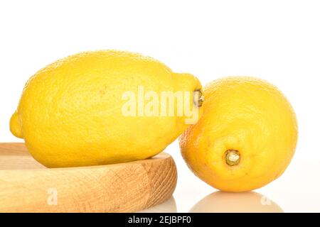 Two whole bright yellow ripe tasty organic lemons on a round wooden tray. The background is white. Stock Photo