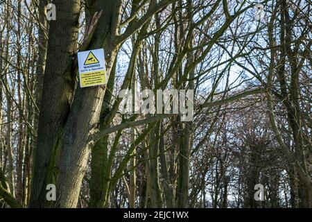 CCTV sign on a tree warning of CCTV in operation in a woodland, Nottinghamshire, England, UK Stock Photo