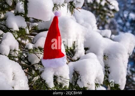 A small red christmas cap placed on a snow-covered pine tree. Stock Photo