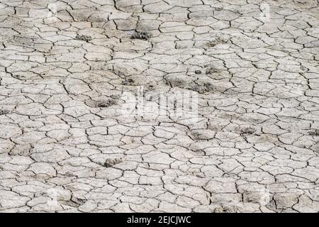 Part of a Huge Area of Dried Land Suffering from Drought - in Cracks ...