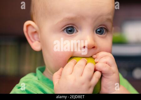 Caucasian baby boy face with apple. Close up. First baby food. Child getting face dirty while eating fruit. Green fresh apple in baby hand.  Stock Photo