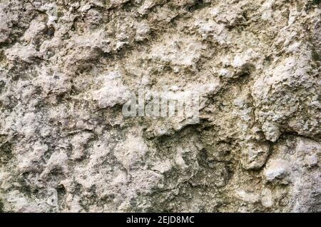 background, texture - gray uneven surface of weathered limestone rock Stock Photo