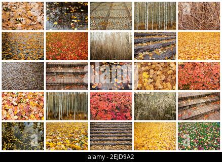 Autumn collage with different autumn textures. Full size. Stock Photo