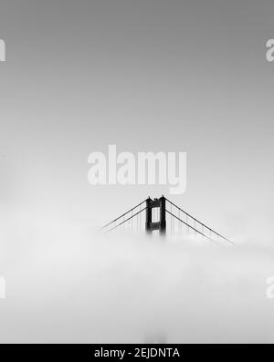 Suspension bridge covered with fog, Golden Gate Bridge, San Francisco Bay, San Francisco, California, USA
