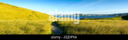 Footpath at San Luis Reservoir, Pacheco Pass, Santa Clara County, California, USA Stock Photo