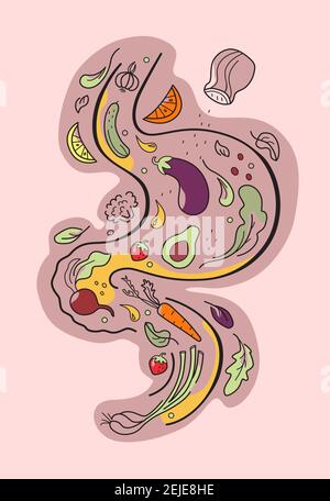 Stomach juice fruits vegetables stomac poster Stock Vector