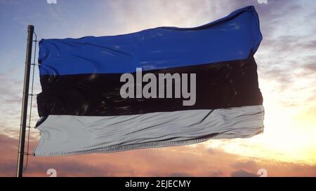 Beautiful Estonia flag waving in the wind with sky background - 3D ...
