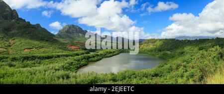 View of the Menehune Fishpond also known as Alekoko Fishpond, Lihue, Kauai  County, Hawaii, USA Stock Photo - Alamy