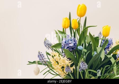 Easter composition of spring flowers with eggs. Yellow tulips, hyacinths, blue muscari grow in pot on white background. Holiday decoration. Stock Photo