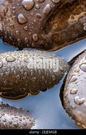 macro shot of drops on black stones Stock Photo
