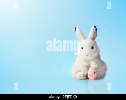 White Easter bunny rabbit with pink painted egg on blue background. Easter holiday concept. Stock Photo