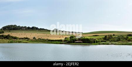 Swamp in a field, Quiberville, Seine-Maritime, Upper Normandy, France Stock Photo