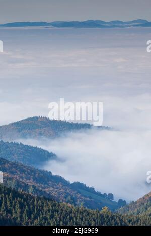 Elevated view of valley with autumn fog, Schauinsland, Black Forest, Baden-Wurttemberg, Germany Stock Photo