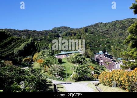 Finca Lerida coffee farm and boutique hotel / lodge that is popular with birders for birdwatching), near Boquete, Chiriqui, Panama Stock Photo