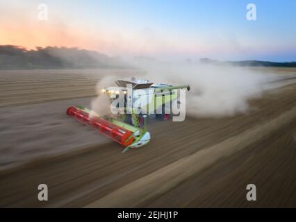 Panning Motion Blur Aerial Image. Combine harvester working at field. Aerial view using motion emphasizing method. Agricultural machine collects wheat Stock Photo