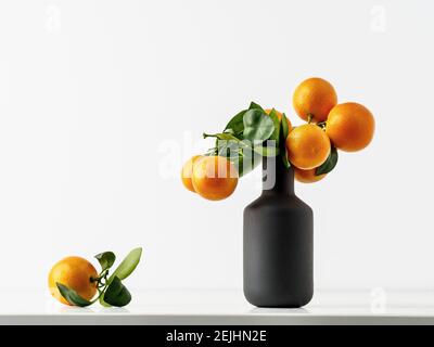 Black vase with fresh clementines and green leaves on white table and background. Copy space. Horizontal view.  Stock Photo