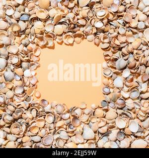 Square frame of seashells with copy space on beige background. Stock Photo