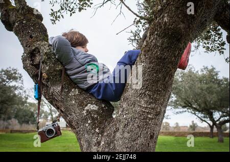 Child boy resting over tree after taking pictures in nature. Children discover nature through the photography Stock Photo