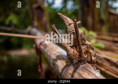 Close-up image of the bamboo knot. It can be used as a background image. Stock Photo