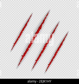 Claw scratches isolated on transparent background. Realistic scary danger claw marks, symbol of monster paw with blood. Vector illustration of red Stock Vector