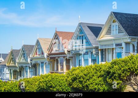 Painted Ladies, The most famous old ladies of San Francisco Stock Photo