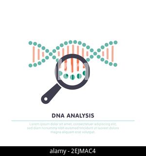 DNA analysis icon, genetics testing. dna chain in magnifying glass sign. genetic engineering, cloning, paternity testing. vector illustration Stock Vector