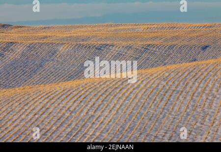 Saskatchewan plains winter extreme cold prairie scenic Stock Photo