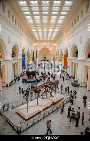 Stanley Field Hall, Chicago Field Museum of Natural History, Chicago, Illinois, USA Stock Photo