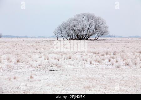 Saskatchewan plains winter extreme cold prairie scenic Stock Photo