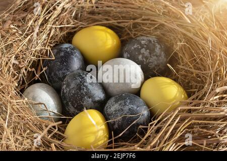 Easter composition - yellow and blue Easter eggs painted with natural dyes in a nest of hay. Stock Photo