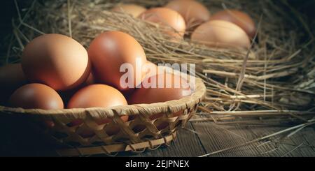 Fresh brown chicken eggs in a basket and in a nest from hay in a barn. Stock Photo