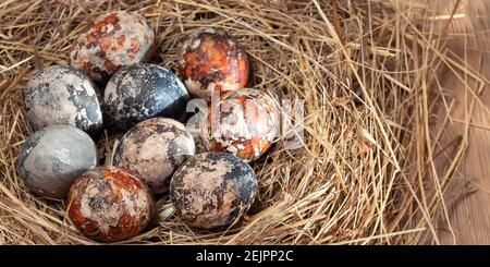 Easter composition - multicolored marble Easter eggs painted with natural dyes in a nest of hay, horizontal banner. Stock Photo