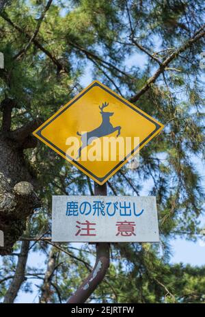 Japanese road sign warning drivers about the famous deer crossing the road, in Nara Park, Japan Stock Photo