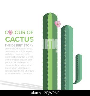 Cactus colour of the desert on illustration graphic vector Stock Vector