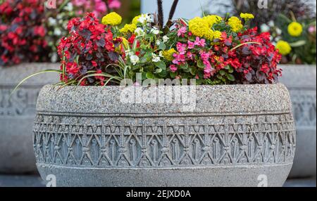 Mixed flower arrangement in a big flower pot, on a paved road on the streets of Vancouver, Canada. Street view, travel photo, selective focus. Stock Photo