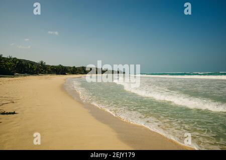 Gorgeous coconut palm trees overlooking Flamenco beach on the Puerto Rico island of Culebra. Stock Photo
