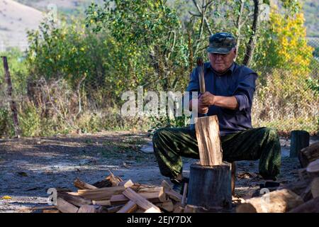 Sitting. View from the front. Outdoors in the daytime. Stock Photo