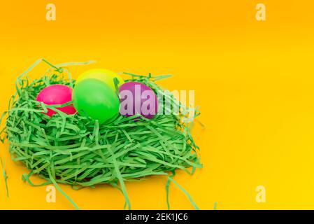 Four Colorful Easter Eggs Sitting in Green nest or Grass.Studio image.Copy space. Stock Photo