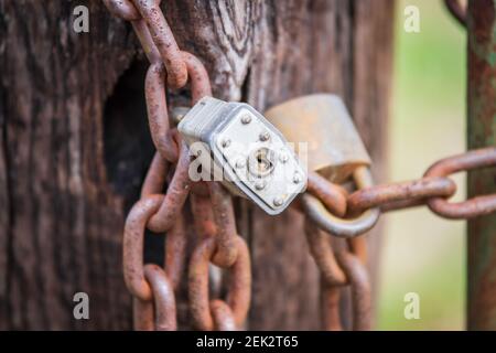 Two locks on an old rusty chain, securing a cattle gate, with selective focus on one lock. Stock Photo