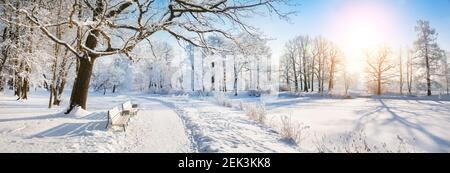 panorama-of-beautiful-winter-park-stock-photo-alamy