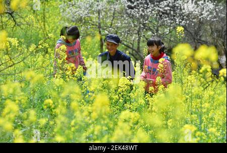(210223) -- RONG'AN, Feb. 23, 2021 (Xinhua) -- Girls enjoy flowers with their grandpa in Tongban hamlet, Yajiao Village of Rong'an County, south China's Guangxi Zhuang Autonomous Region, Feb. 26, 2017. Tongban hamlet, located in deep mountainous area of Rong'an County of Guangxi, was once an 'empty village' with only six elders living.    In 2012, people who have worked outside for over 20 years returned to the hamlet and set up a cooperative to develop sightseeing tourism.     Nine years later, the hamlet has become a hot destination on the internet and attracts tens of thousands of visitors Stock Photo
