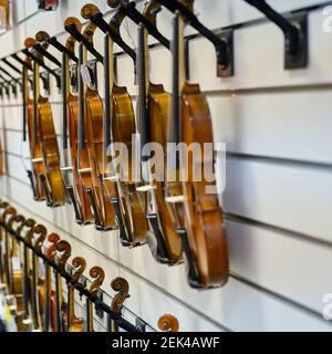 Sale of violins in the store of stringed musical instruments, close-up. Stock Photo