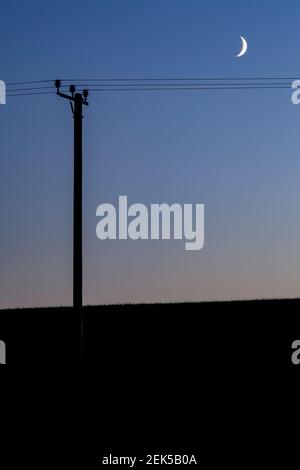 Crescent moon and telegraph pole at dusk Stock Photo