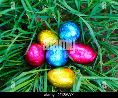 chocolate eggs in colors hidden in the garden grass to celebrate the Easter Stock Photo