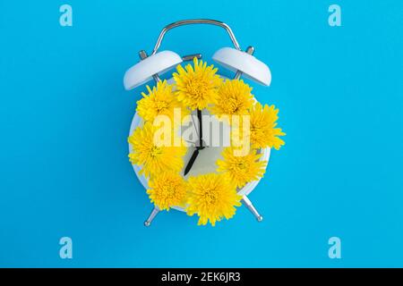 Yellow flowers on the dial of the white alarm clock in the center of the blue surface Stock Photo