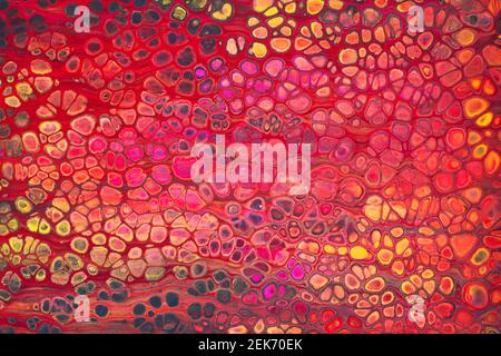 Colorful abstract acrylic painting in red and yellow. Free flowing cells. Pouring. Stock Photo