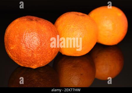 Three ripe juicy fresh red Sicilian oranges on a black background, macro. Stock Photo