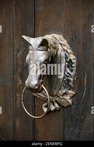 Horse head on a wooden wall - Honfleur - Calvados - Paris Stock Photo