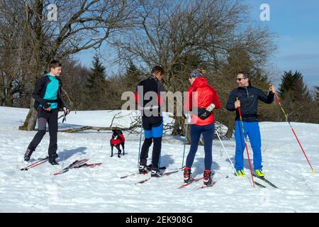 Four men and dog, cross country skiers, lifestyle fitness, winter sports Stock Photo