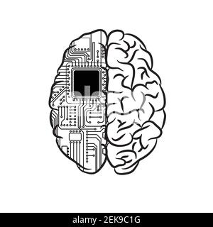 Brain microscheme half background Stock Vector